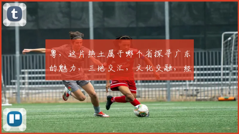 粤，这片热土属于哪个省探寻广东的魅力，三地交汇，文化交融，经济繁荣。