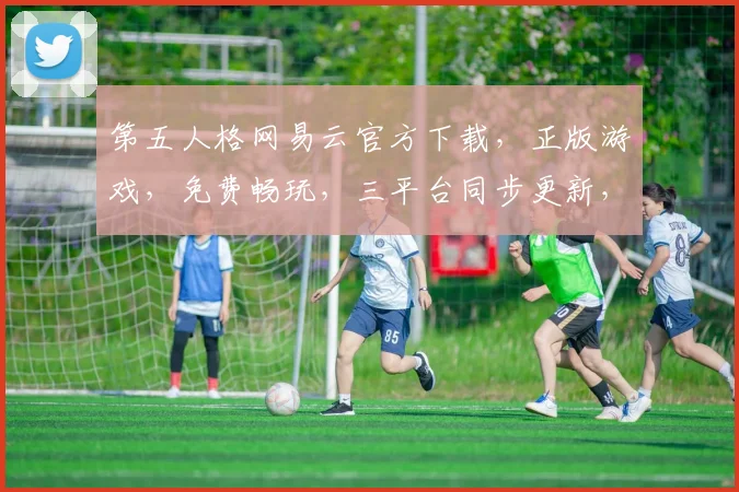 第五人格网易云官方下载，正版游戏，免费畅玩，三平台同步更新，必看攻略，轻松上手