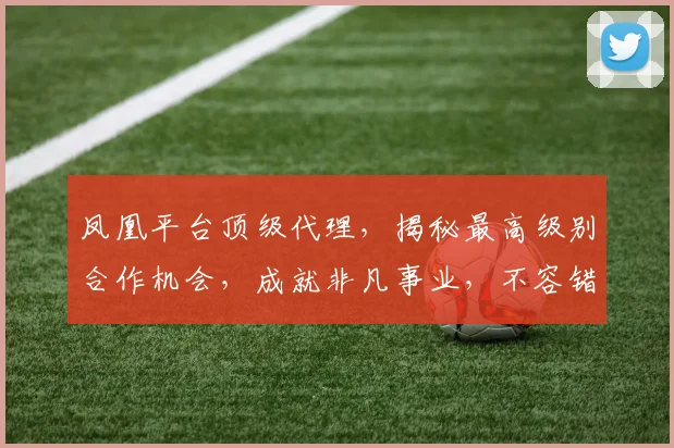 凤凰平台顶级代理，揭秘最高级别合作机会，成就非凡事业，不容错过