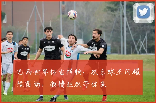 巴西世界杯吉祥物，欢乐球王闪耀绿茵场，激情狂欢等你来