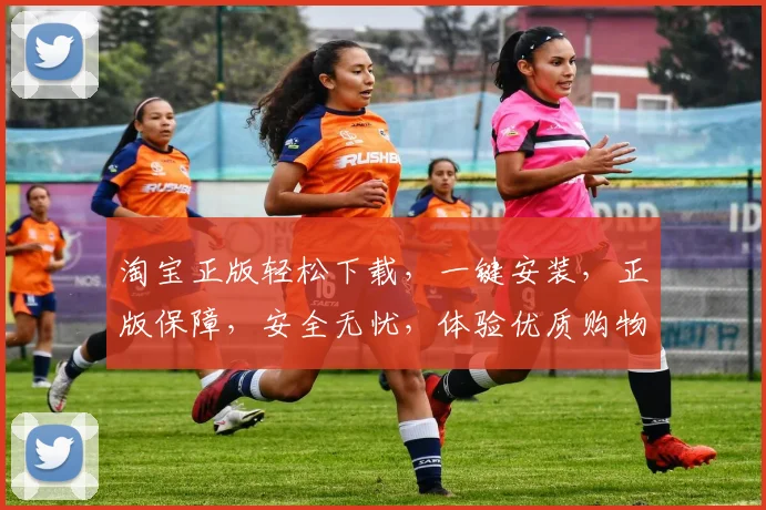 淘宝正版轻松下载，一键安装，正版保障，安全无忧，体验优质购物之旅，三步搞定
